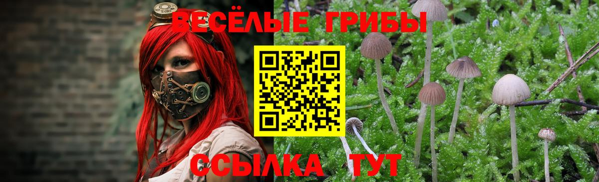 Реж  Галлюциногенные грибы мухоморы  Галлюциногенные грибы GOLDEN TEACHER  Вход с VPN 